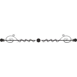 Elegant Black Decorative Border