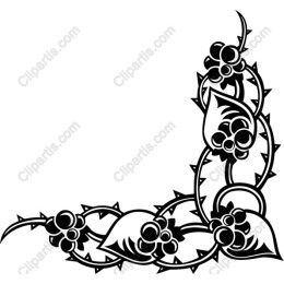 Black Thorny Vine