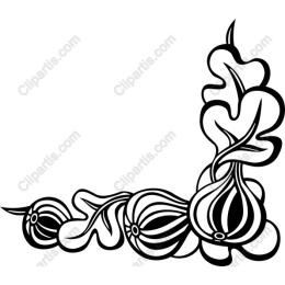 Organic Onion Corner