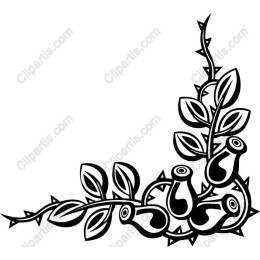 Thorny Vines and Fruits