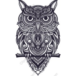 Intricate Owl