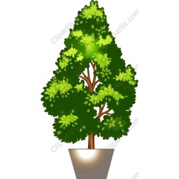 Lush Green Potted Tree