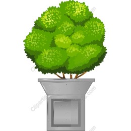 Lush Green Bush