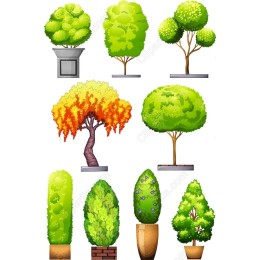Lush Tree and Plant Bundle
