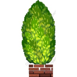 Lush Green Shrub