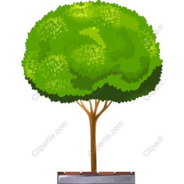 Lush Green Tree
