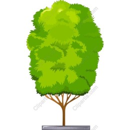 Vibrant Green Tree