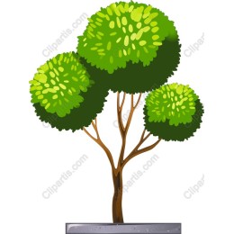 Vibrant Stylized Tree