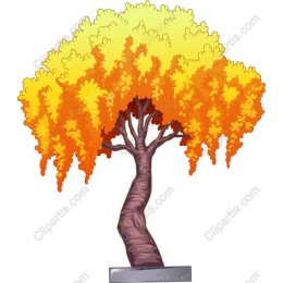 Autumn Glory Tree