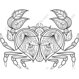 Elegant Crab