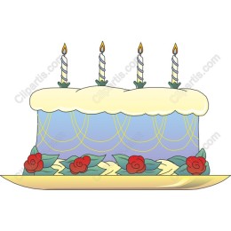 Elegant Birthday Cake