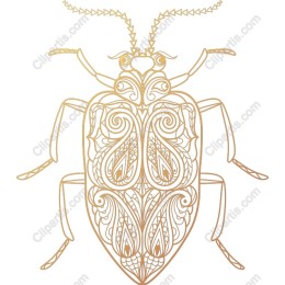 Ornamental Beetle