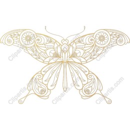Elegant Butterfly