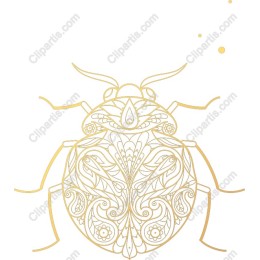 Golden Symmetrical Beetle