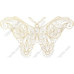 Elegant Butterfly