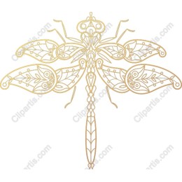 Elegant Golden Dragonfly