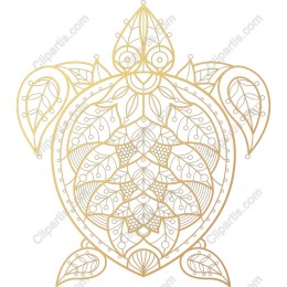Elegant Turtle