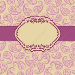 Elegant Paisley with Frame