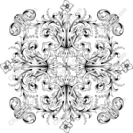 Elegant Black and White Floral