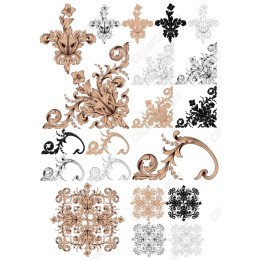 Ornamental Set - Floral & Decorative Motifs
