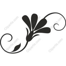 Elegant Floral