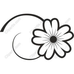 Floral Whimsy