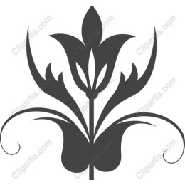 Elegant Floral