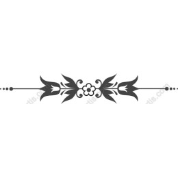 Elegant Floral Border in and
