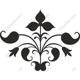 Elegant Floral