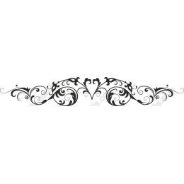 Elegant Black Ornamental Border