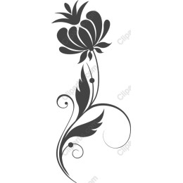 Elegant Floral