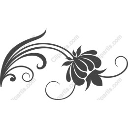 Elegant Floral Swirl