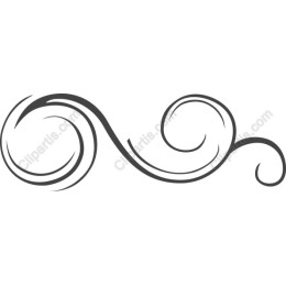 Elegant Swirl