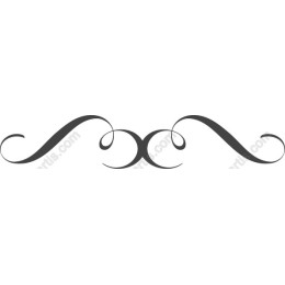 Elegant Decorative Flourish