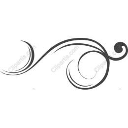 Elegant Swirl