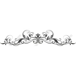 Elegant Ornamental Border