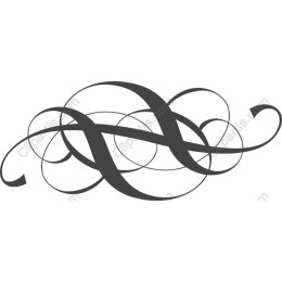 Elegant Swirl