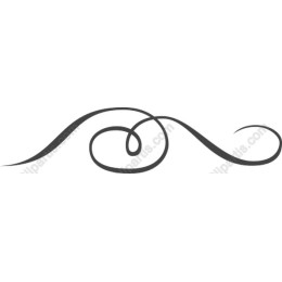 Elegant Flourish