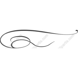 Elegant Swirl