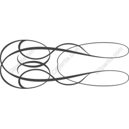 Elegant Intertwining Curves