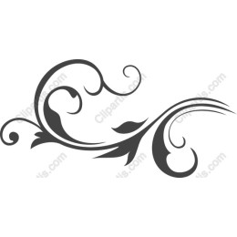 Elegant Floral Swirl