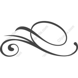 Elegant Swirl