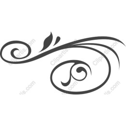Elegant Floral Swirl