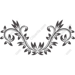Elegant Floral Border