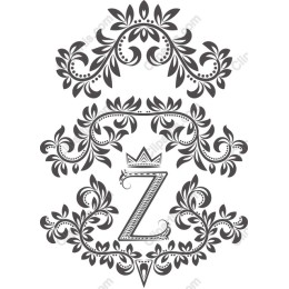 Elegant Floral 'Z'