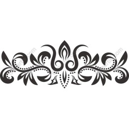 Elegant Floral Frame