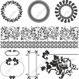 Floral Elegance Collection