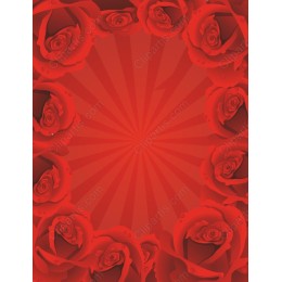 Radiant Red Roses