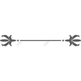 Elegant Floral Ornament