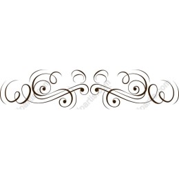 Elegant Decorative Flourish